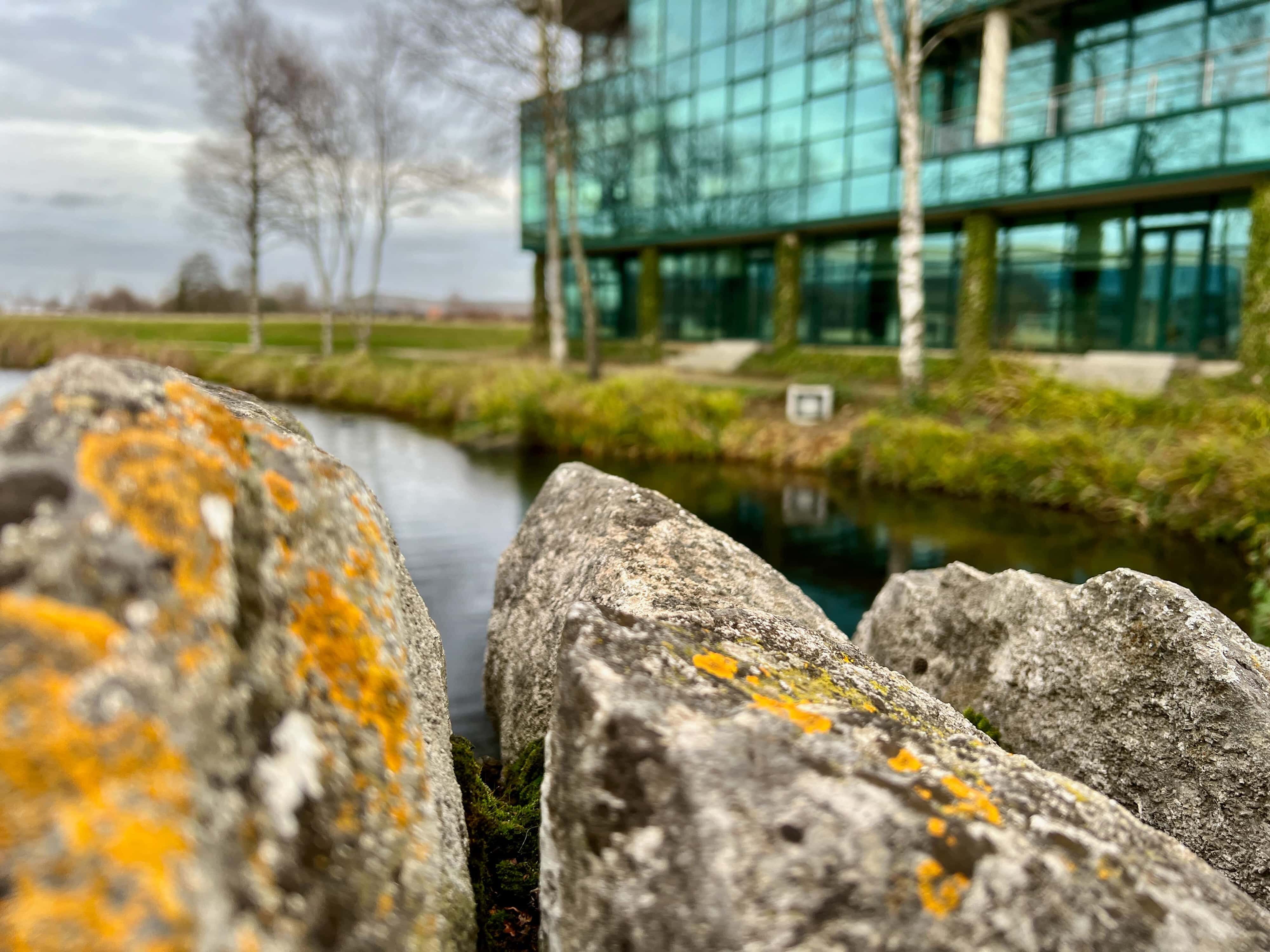 View of the lake at Citywest Business Campus