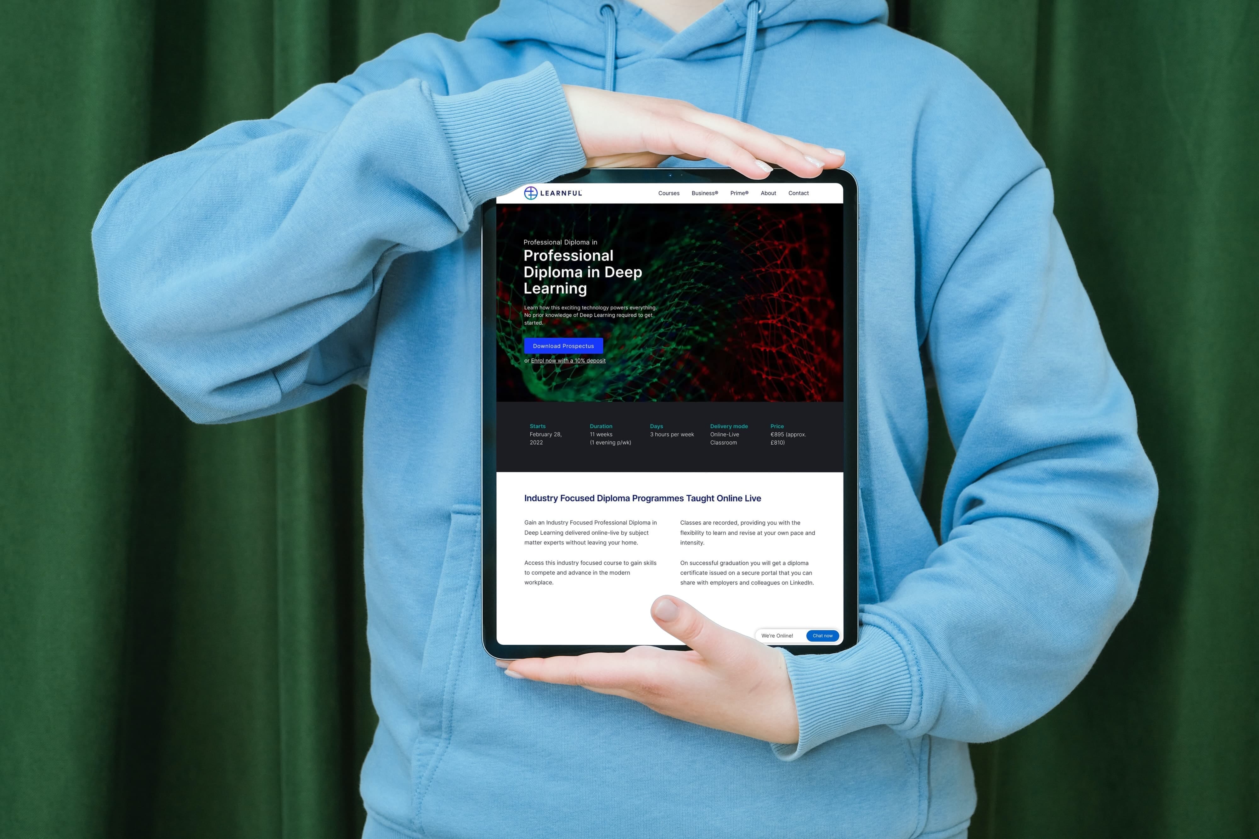 Learnful web design project